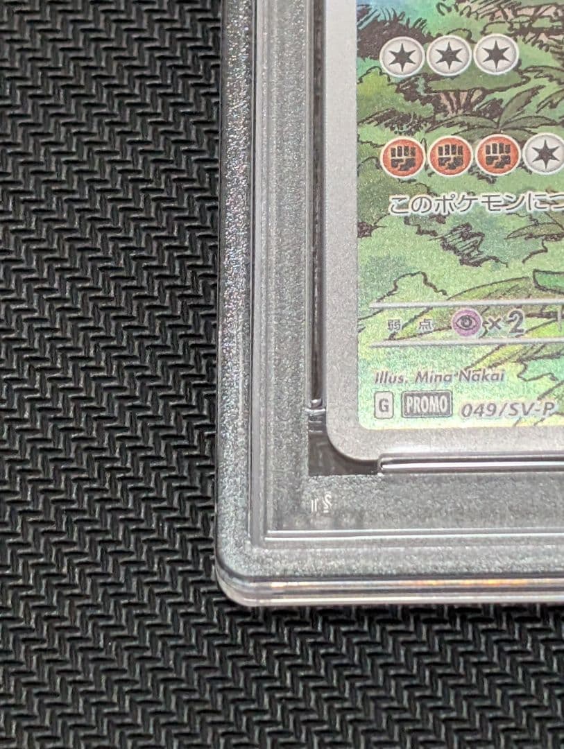 【連番】シールド戦プロモ ミライドン コライドン PSA10