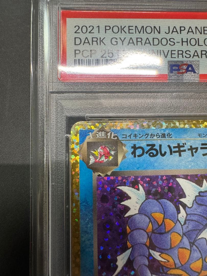 ま*✨様 【PSA10】 わるいギャラドス25th