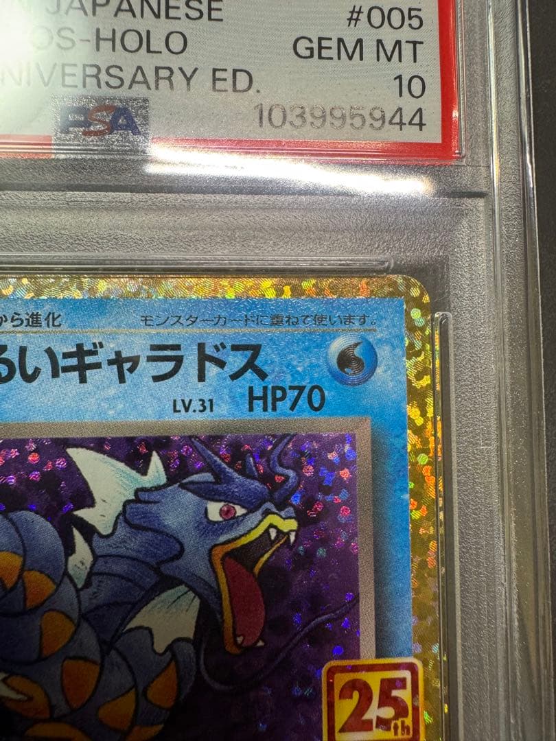 ま*✨様 【PSA10】 わるいギャラドス25th