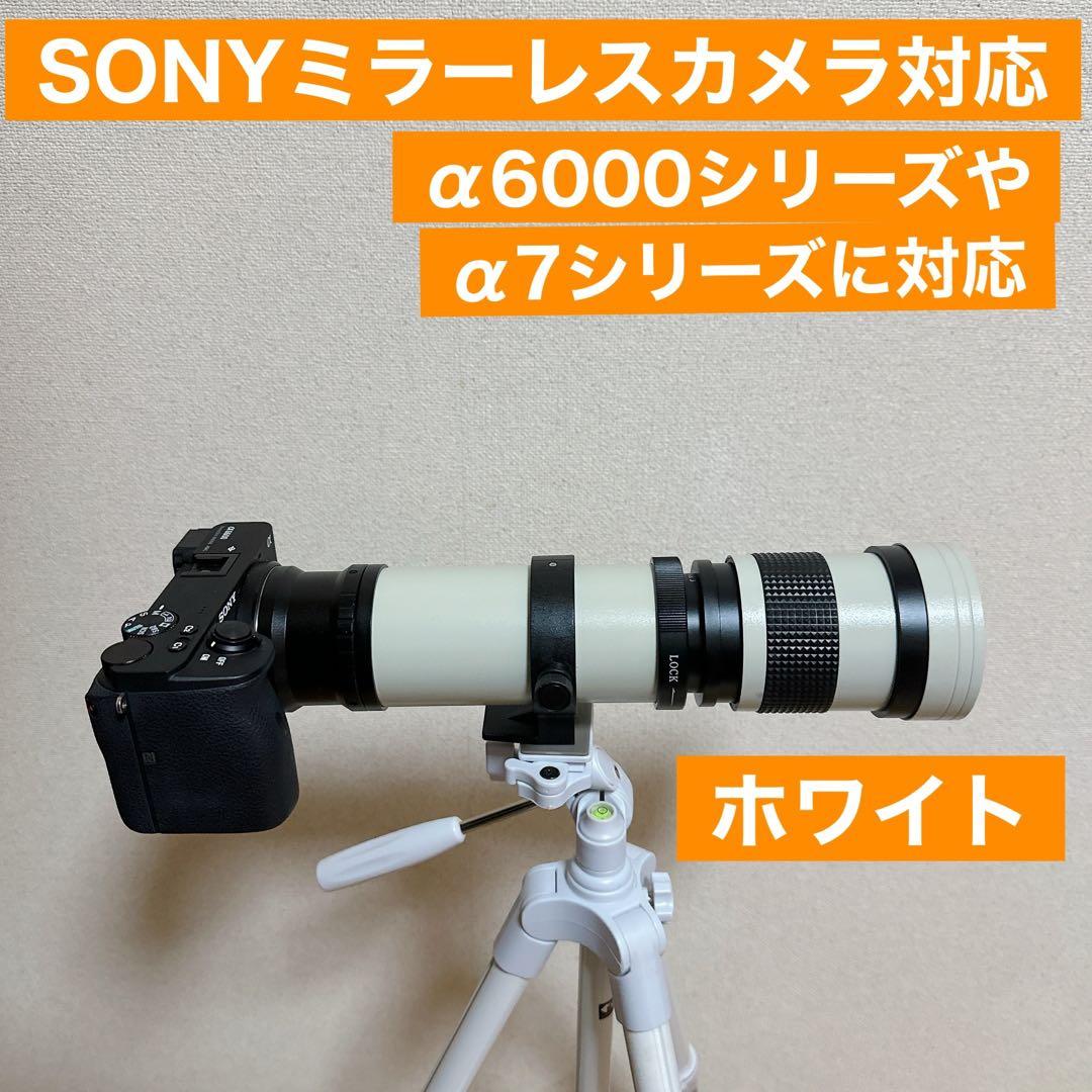 思い出を残そう！SONYミラーレス用の望遠レンズ！カメラ初心者OK！サポート付き