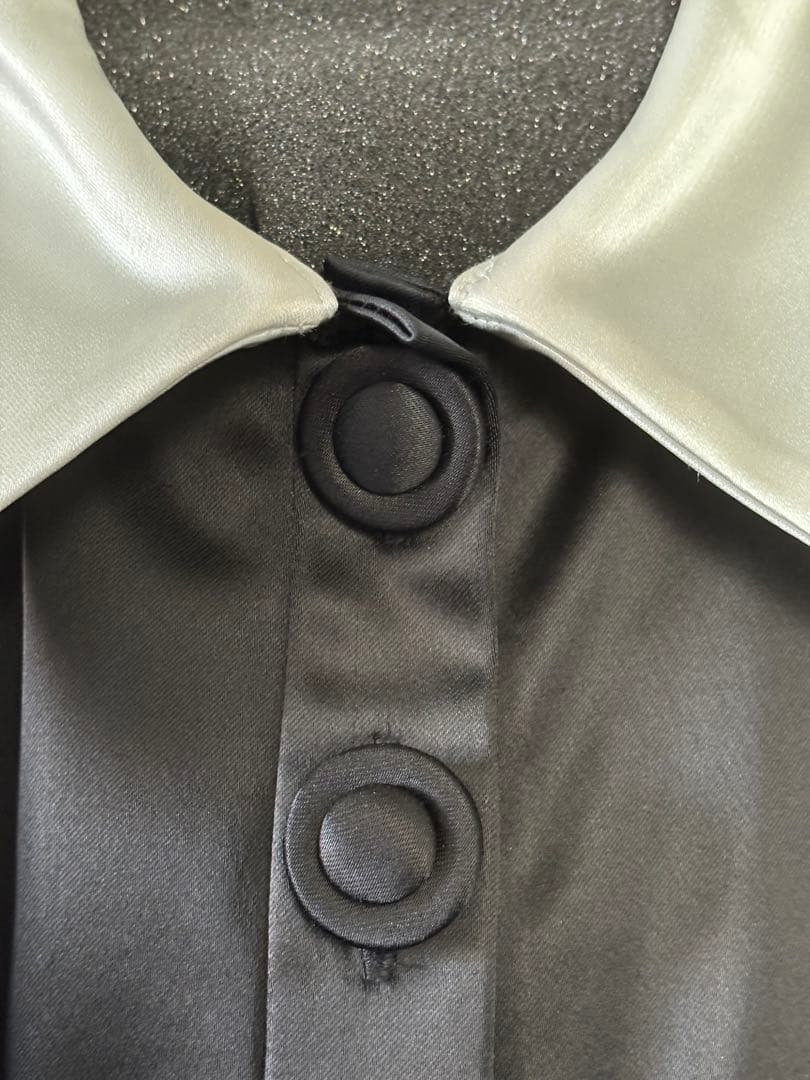 ZARA×ANNA SUI ワンピース