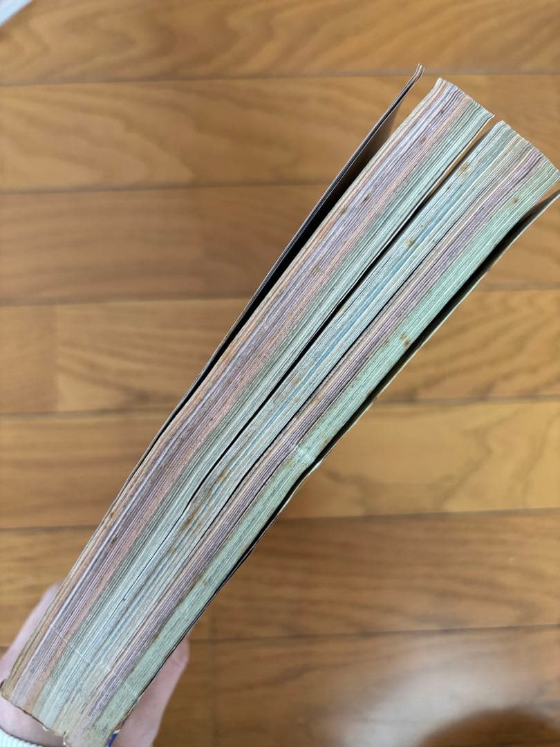 週刊少年ジャンプ 1995年17号 ドラゴンボール