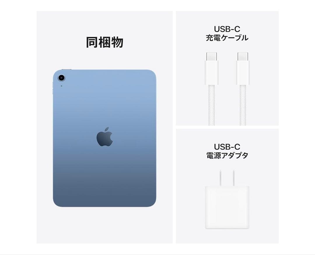 ブルー　Apple 11 インチ iPad (A16): 11 インチモデル