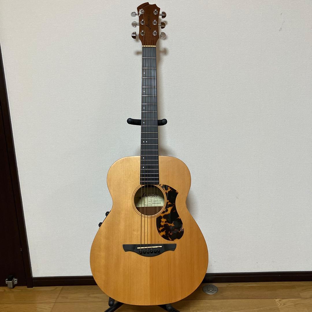 JAMES　エレアコ　アコースティックエフェクトシステム　取説付き　おまけ付き