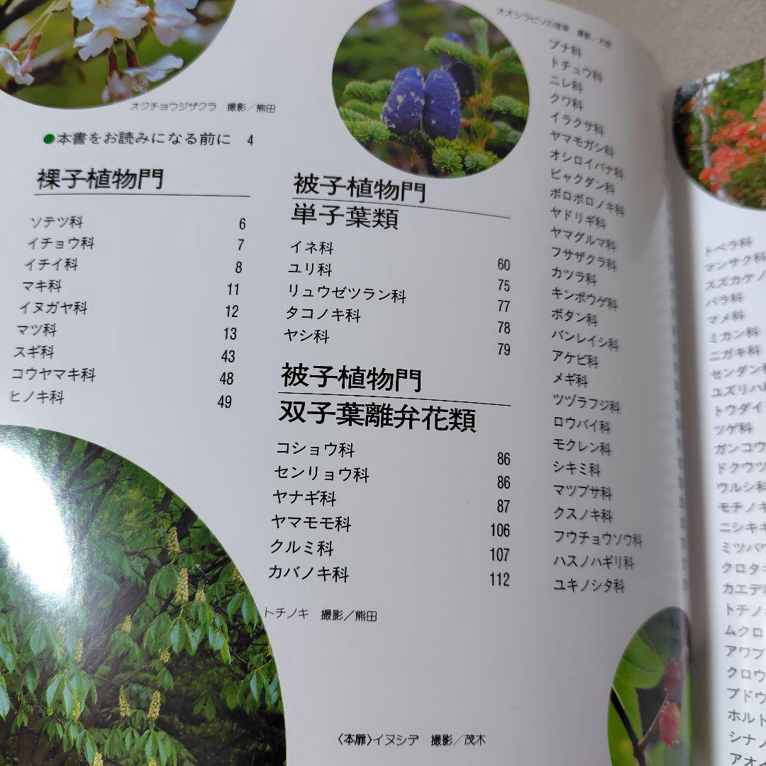 増補改訂新版　日本の樹木