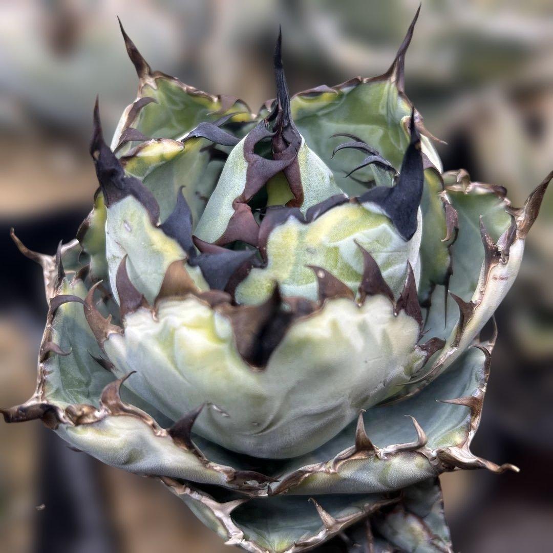 60セカンズ＠niko.keiji.RS