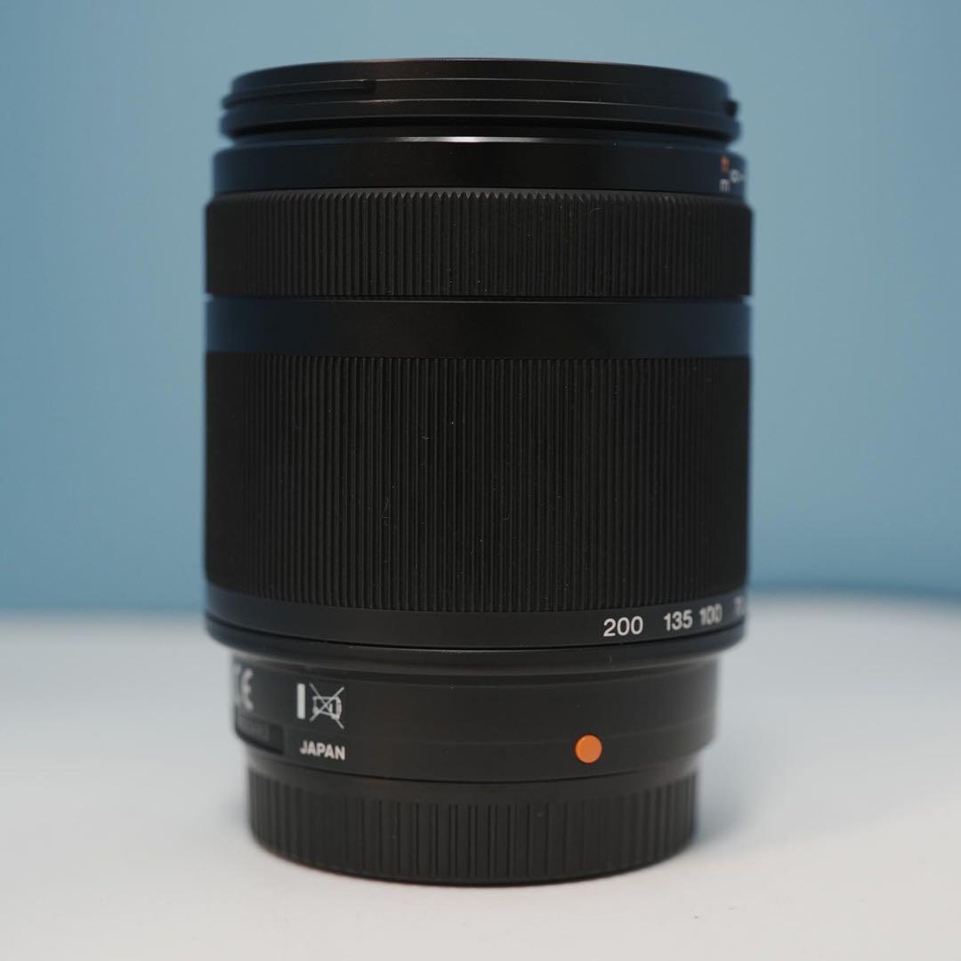 SONY純正 18-200mm 望遠レンズ 美品 a4396