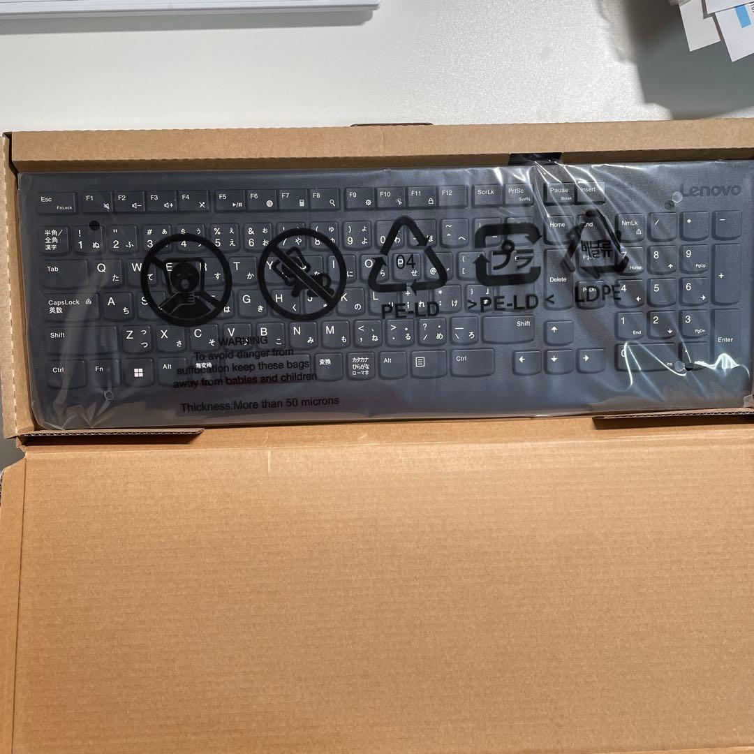 ミニPC Lenovo ThinkCentre M75q-1