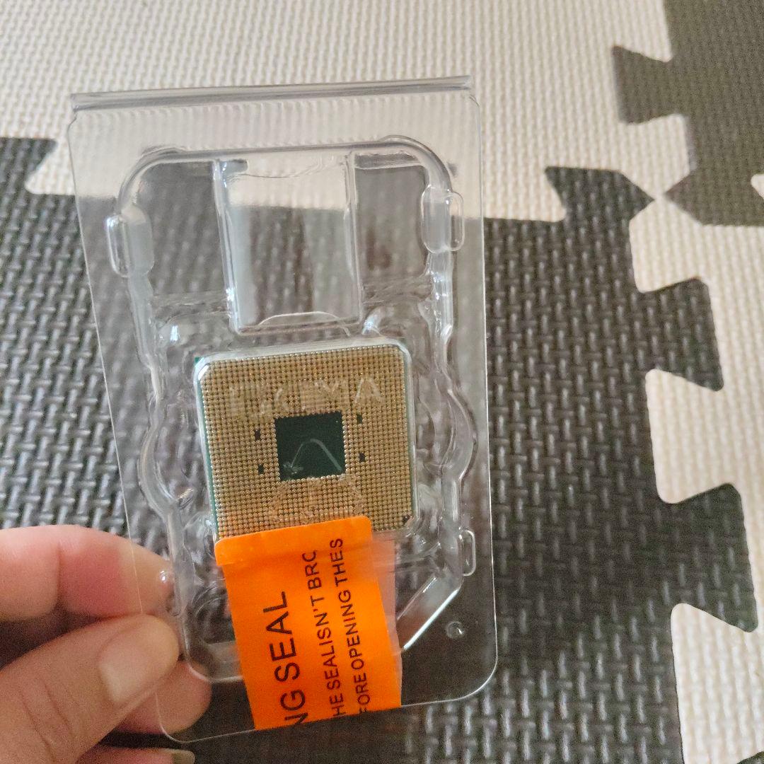 AMD Ryzen 5 5500 CPU 未使用