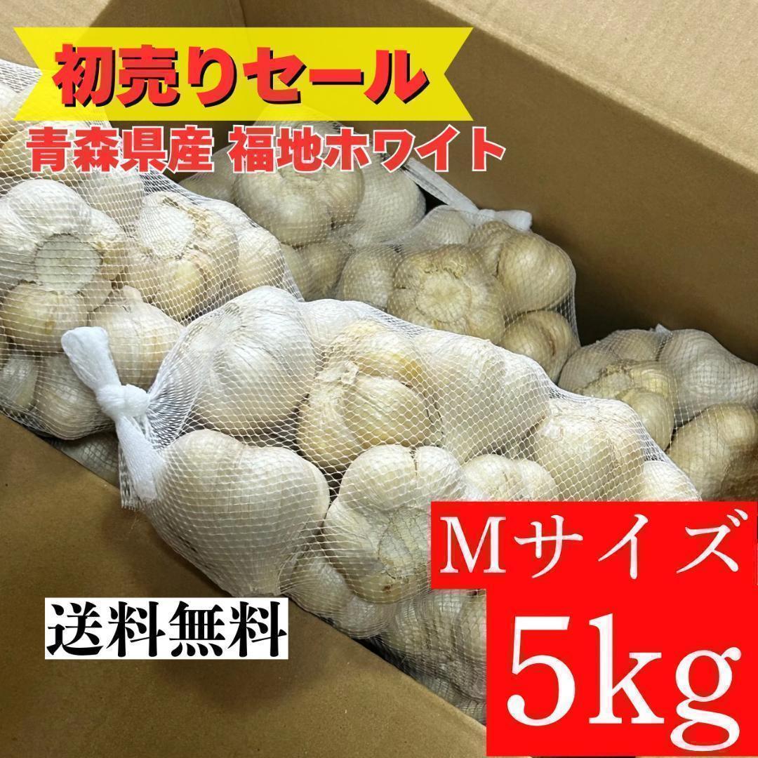 【初売りセール】青森県 福地ホワイト にんにく M 5kg 加工 種にんにく