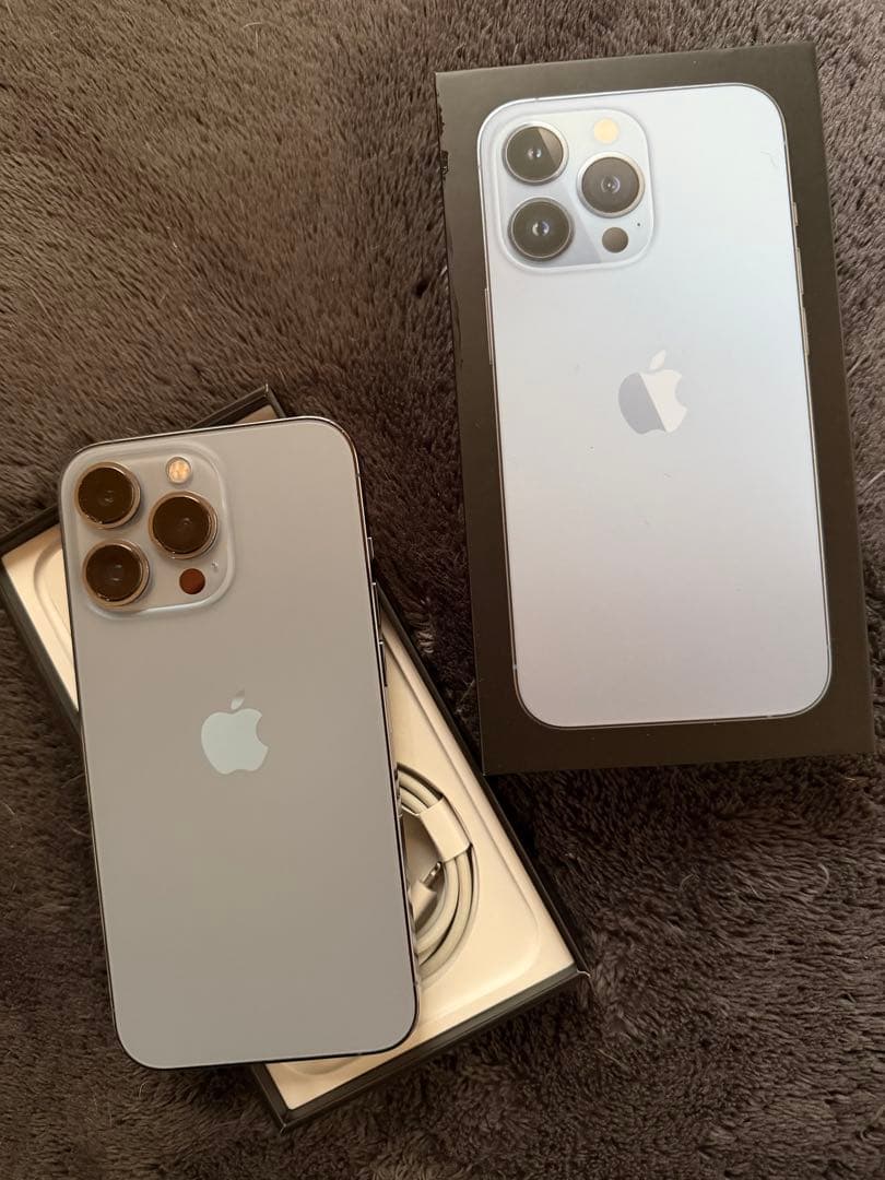 ペリー カモノハシ  Apple iPhone 13 Pro シエラブルー