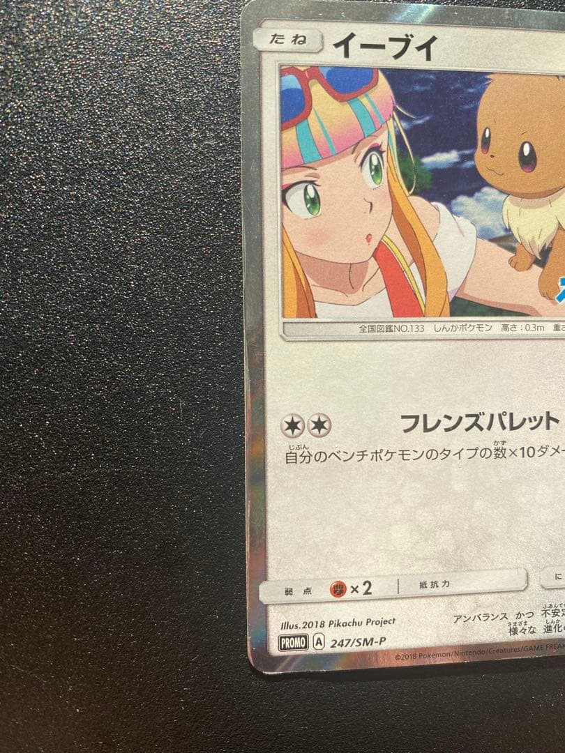 イーブイ　みんなの物語　プロモ