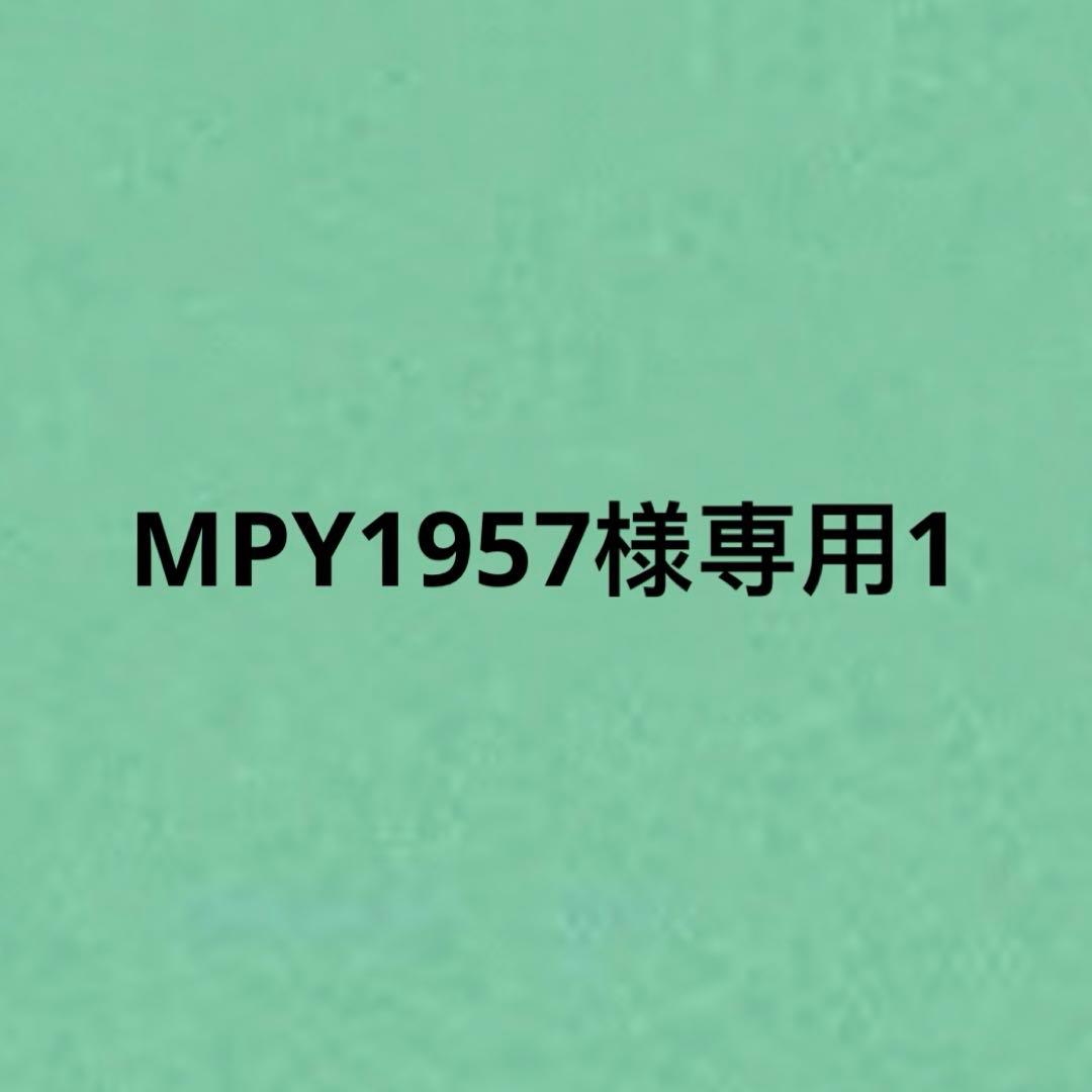 その他 MPY19571