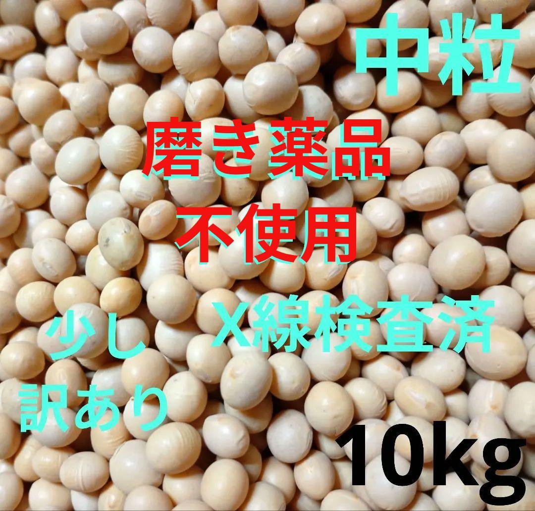 大豆 長野県産大豆　2025年産薬品磨き不使用　中粒加工用　少し訳あり10kg
