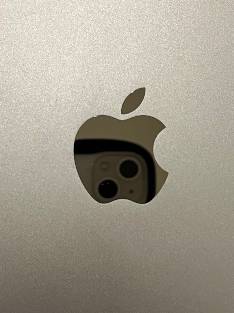 iPad Pro 12.9インチ スペースグレー 本体