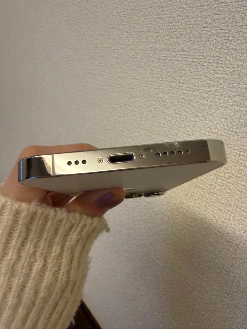 かいろApple iPhone 13 Pro シルバー 本体