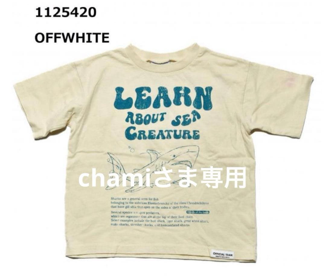 ☆ chami さま　専用　☆