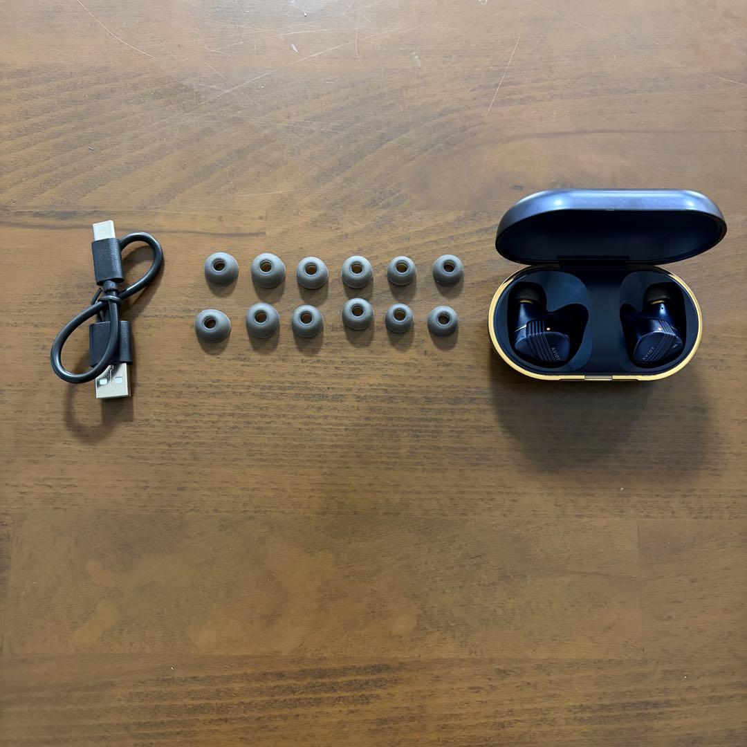 AVIOT TE-W1-NV ドーンネイビー