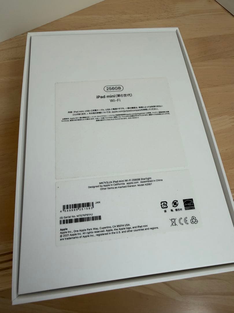 専用です　Apple iPad mini wifi 256GB スターライト