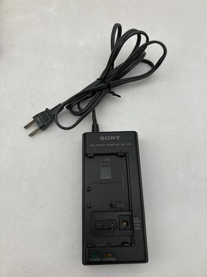 SONY VIDEO TV RECORDER ビデオウォークマン GV-500