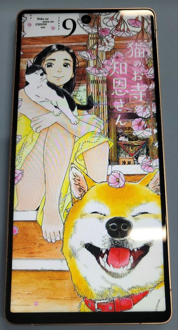 S25 ultra Galaxyではない