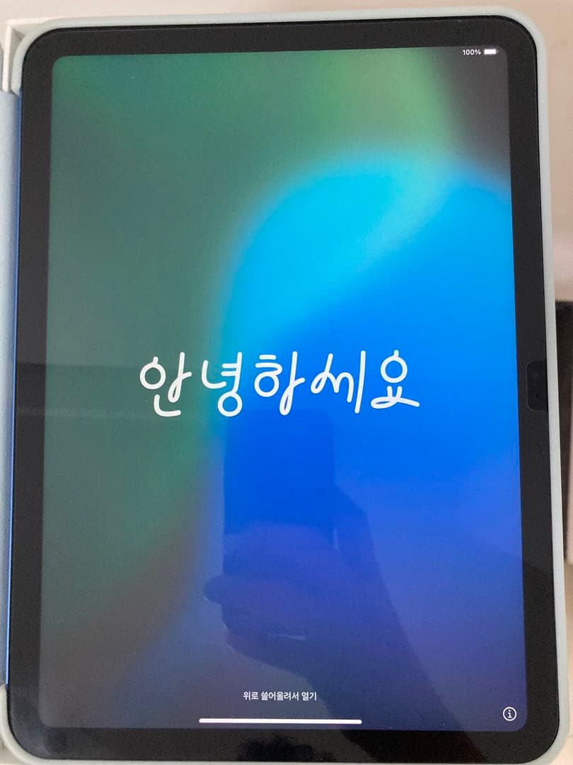 iPad(第10世代)256g 100%