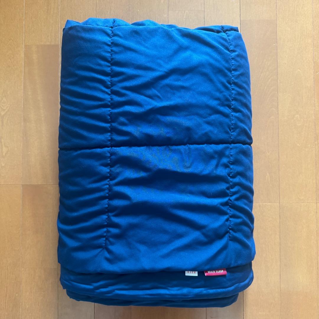 ブレインスリープ 掛け布団 ダブル オールシーズンズ