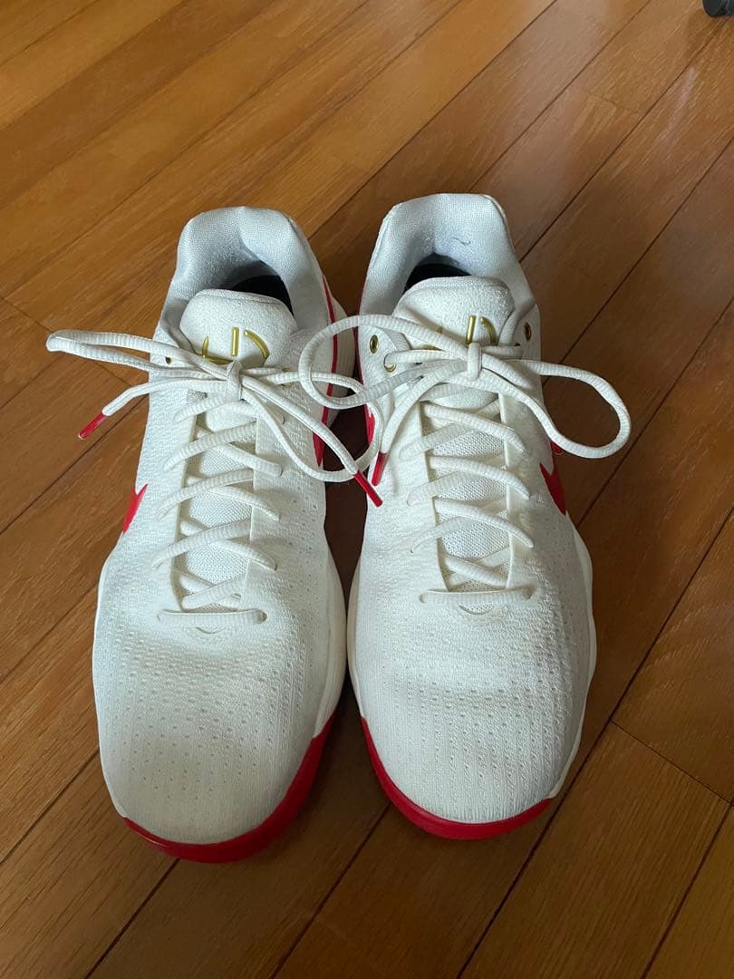 シューズ(男性用) Nike Hyperdunk 2017 Lunar New Year