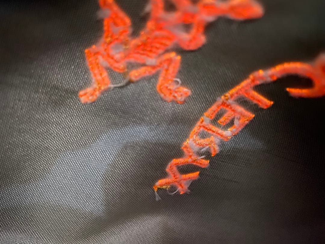 【ほぼ新品・未使用】アークテリクス ARC'TERYX Arro 22