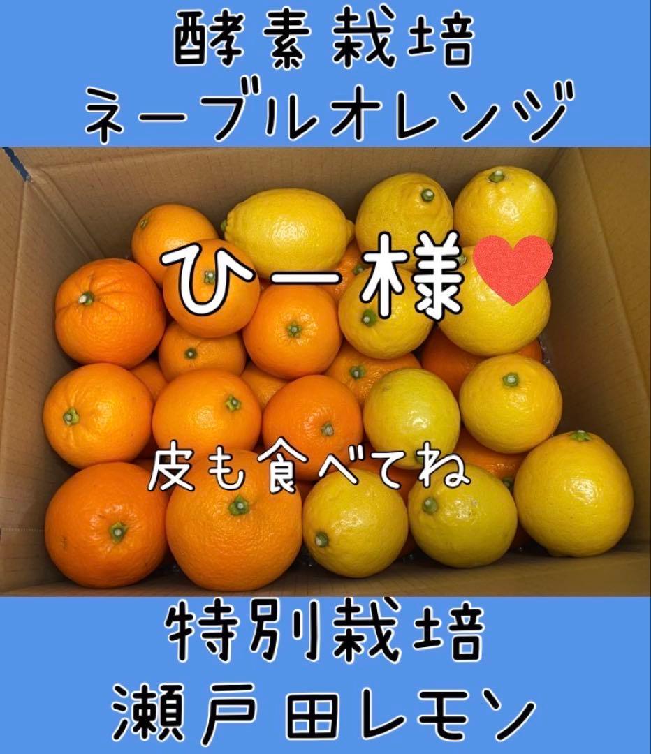 ひー様♡酵素栽培ネーブル &瀬戸田レモン　皮も食べてね　グリグリーン農園