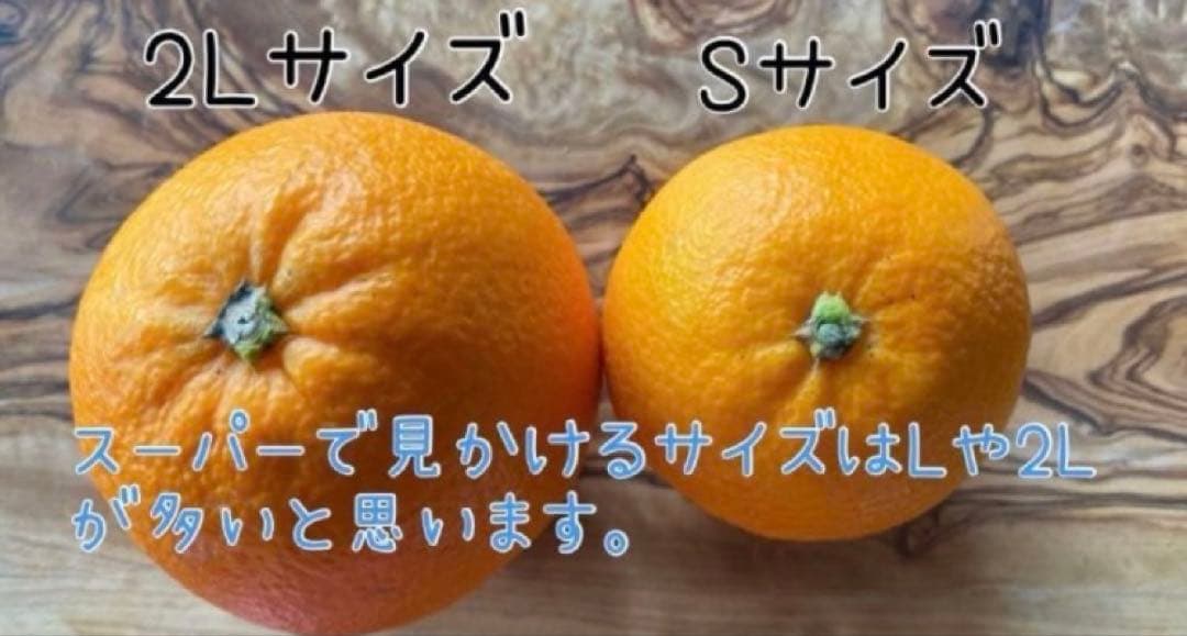 ひー様♡酵素栽培ネーブル &瀬戸田レモン　皮も食べてね　グリグリーン農園