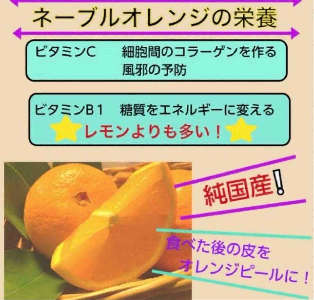 ひー様♡酵素栽培ネーブル &瀬戸田レモン　皮も食べてね　グリグリーン農園