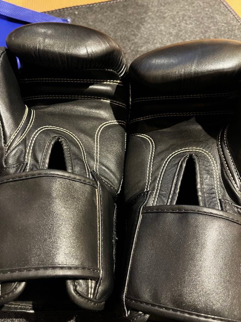 WINDY ボクシンググローブ BGVH 14 oz.