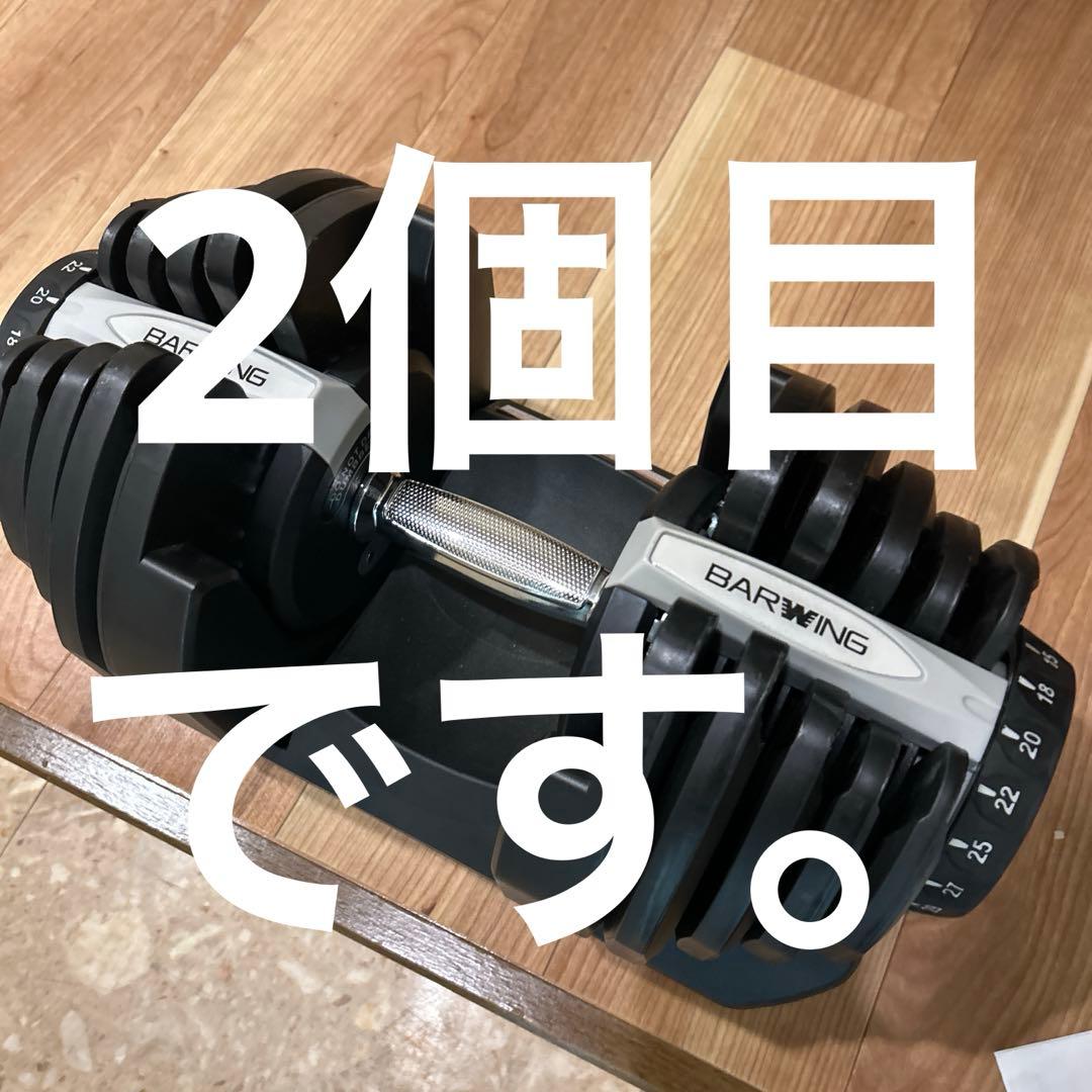 こちらは2個目です。taichichimushi0718様用