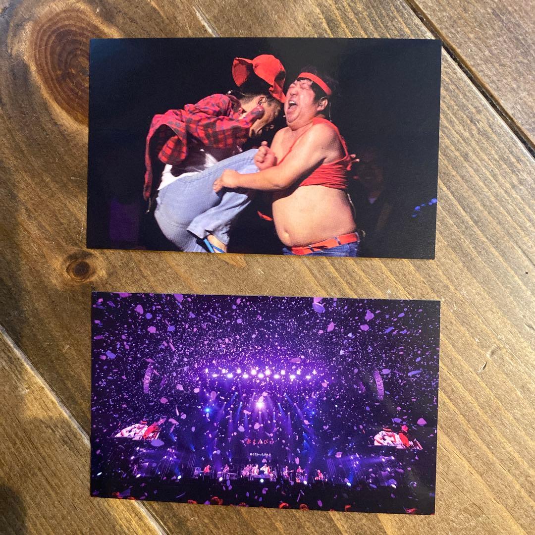 【フロン太さん専用】 バナナマン　赤えんぴつ武道館ライブBlu-ray通常ver