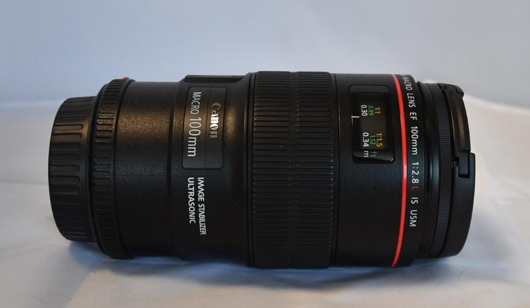 Canon EF100mm F2.8Lマクロ IS USM