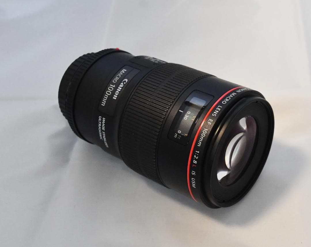 Canon EF100mm F2.8Lマクロ IS USM