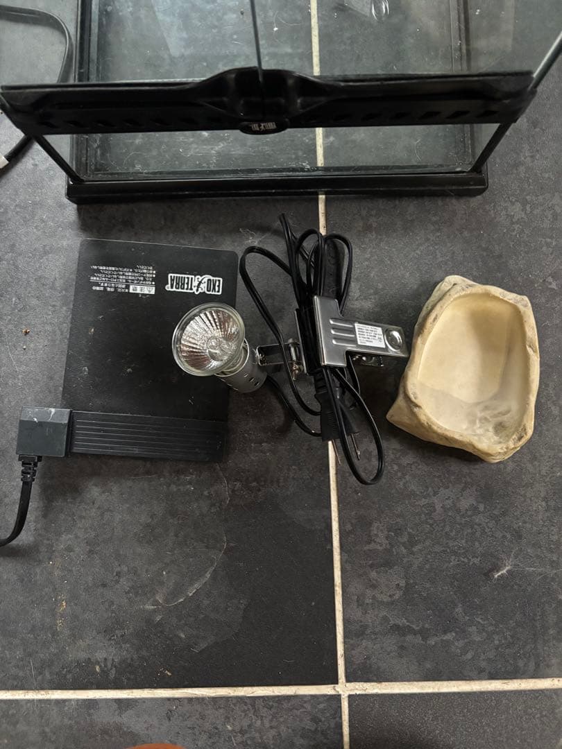 グラステラリウム3030 飼育セット