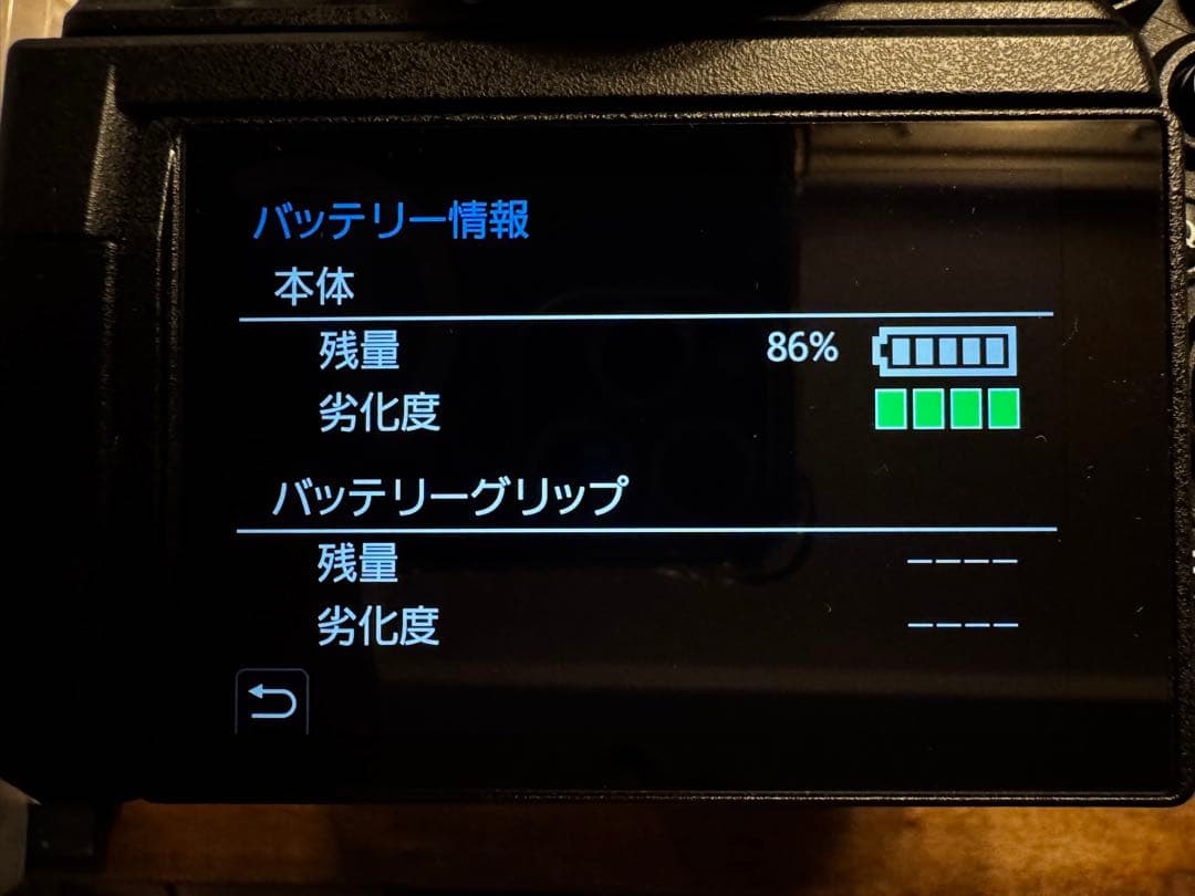 Panasonic パナソニック LUMIX S1H