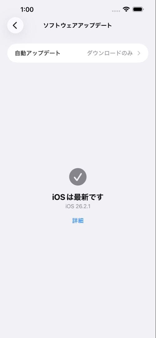 iPhone13Pro Max アルパイングリーン256GB