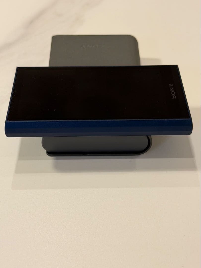 NW-A306 microSDXC512GB/ケース付 SONY WALKMAN