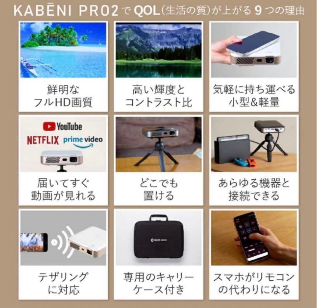 [美品]UENO-mono KABENI PRO2 本体　付属品全てあり