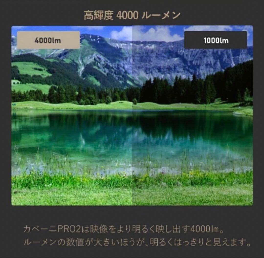 [美品]UENO-mono KABENI PRO2 本体　付属品全てあり