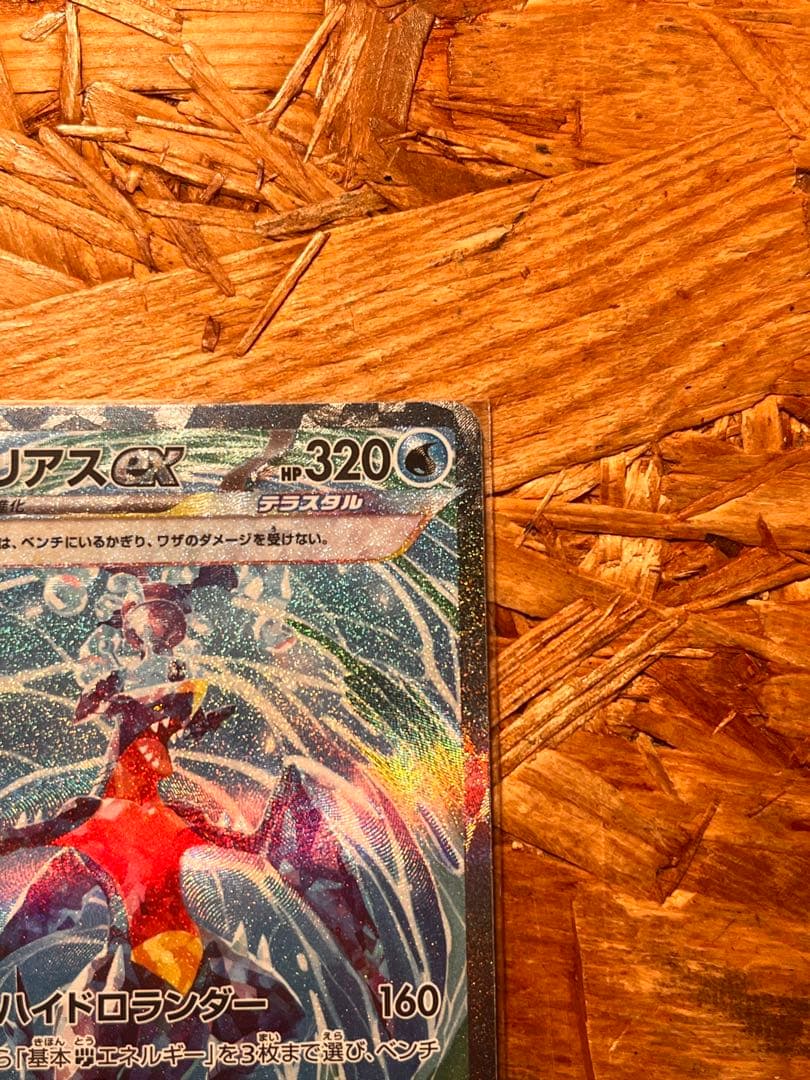 ガブリアスex SAR ガブリアスV 2枚セット