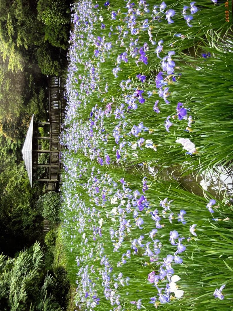 ◾️TAMRON SP 24-70mm F/2.8 Di VC USD❗️