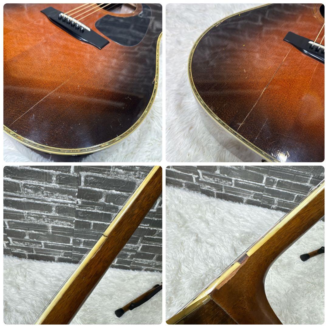 MORRIS TF-801 ハカランダ アコースティックギター