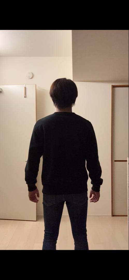 【超絶希少モデル】ヒステリックグラマー 即完売 ヒスガール 入手困難 スウェット