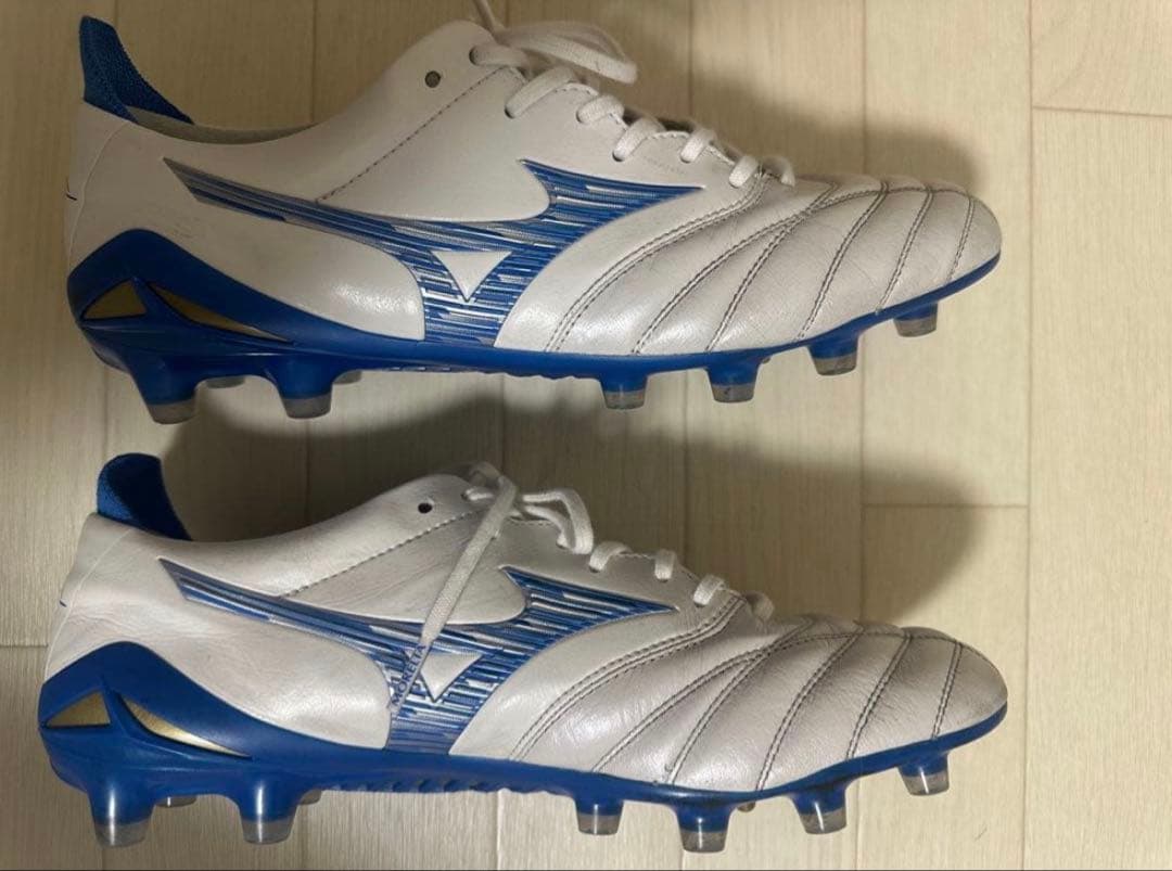 よ*よ様 モレリアネオ4