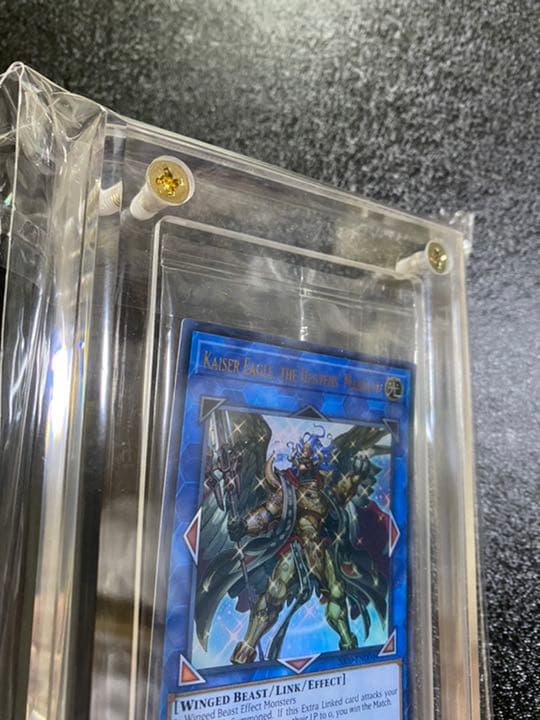 貴重　Kaiser Eagle, the Heavens' Mandate