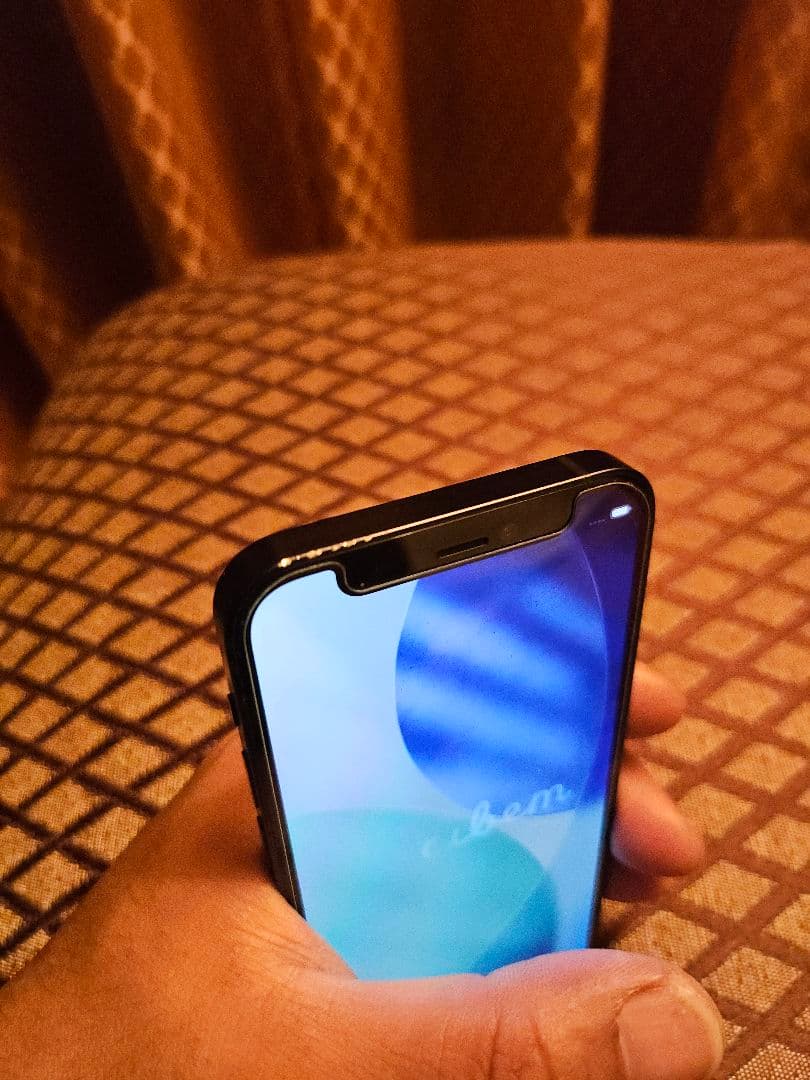 【特典たっぷり】 iPhone 12 mini 256GB 国内版 SIMフリー